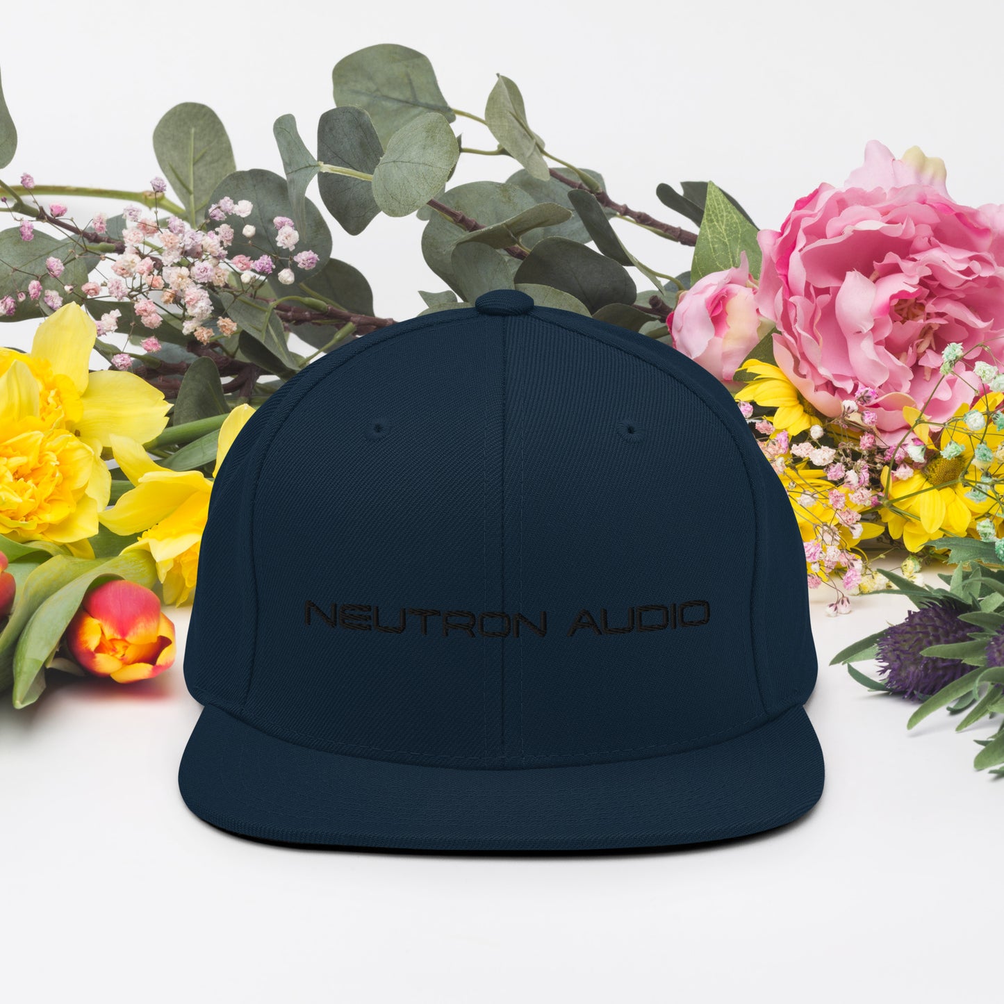 Neutron Audio Snapback Hat